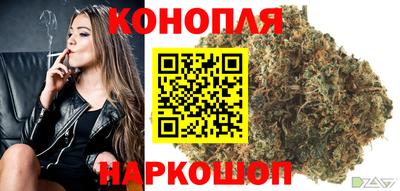 гашик Нарткала