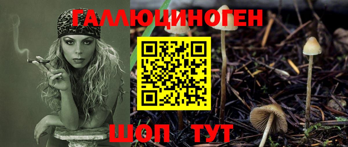 купить закладку  Псилоцибиновые грибы MAGIC MUSHROOMS  Вход с VPN  Учалы 